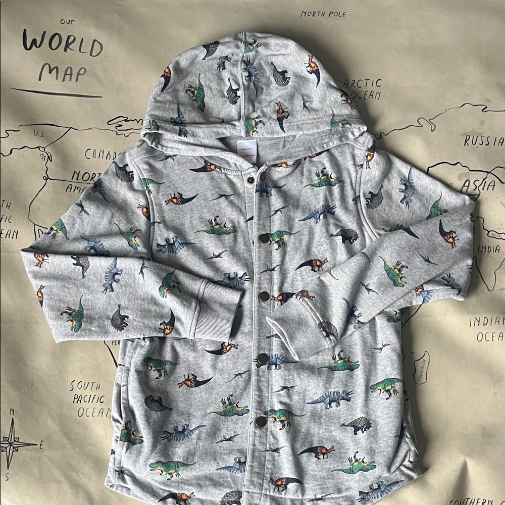New Hanna Andersson Gray Hoodie with Dinosaur Design